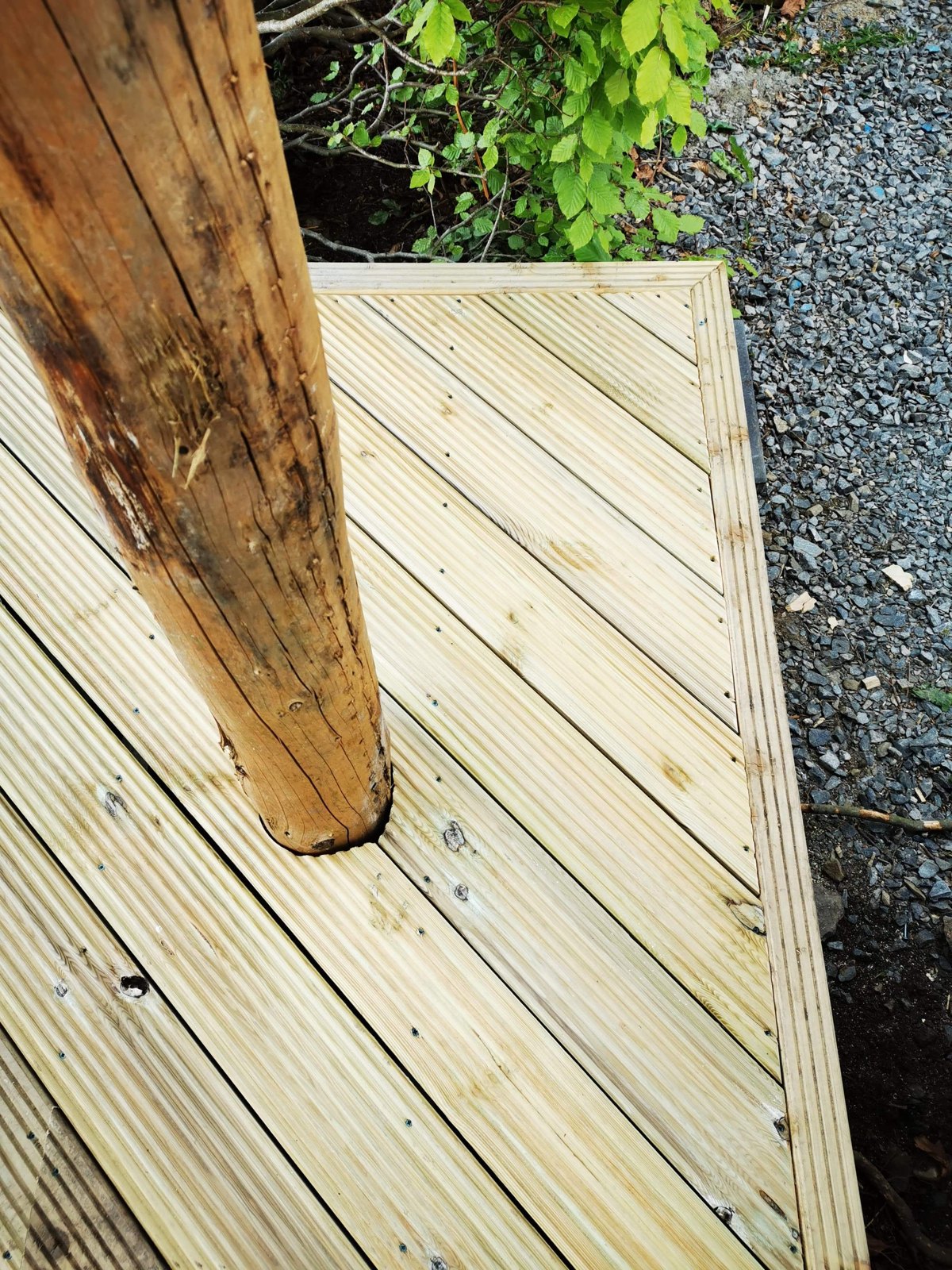 Deck boards scribed and cut tight around a living tree trunk