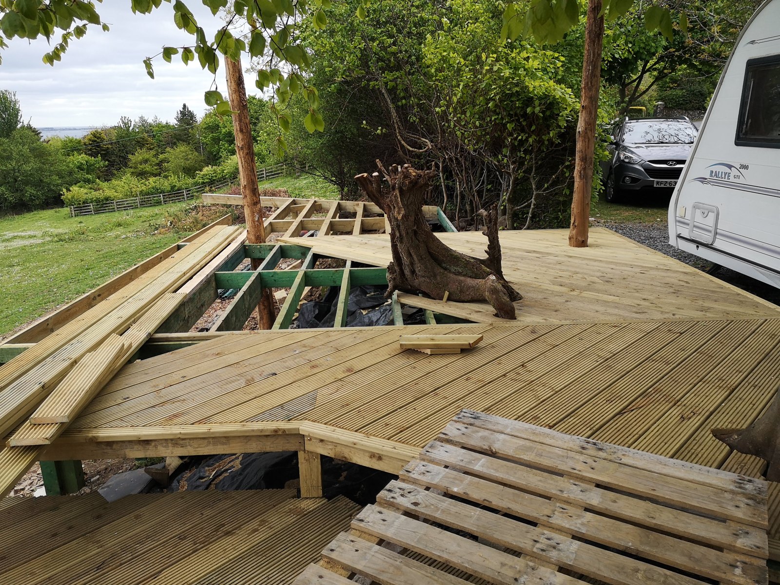 Composite deck built around mature trees in a Carlingford garden